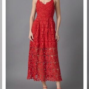 Astr Scarlet Lace Dress